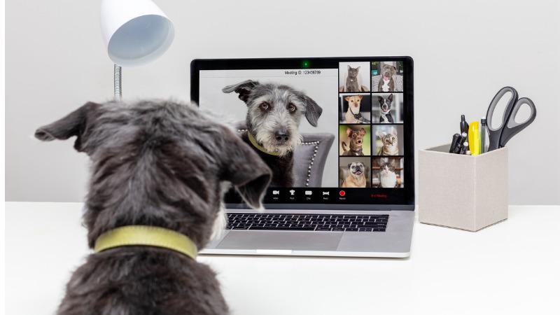 guide d'achat d'une webcam